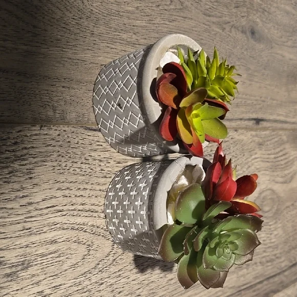 Decorative Succulent Planters - Red and Green - Picture 3 of 3
